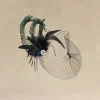 BABEYOND Headpieces & Fascinators|Vintage Veil Peacock Feather Fascinator Dark Green